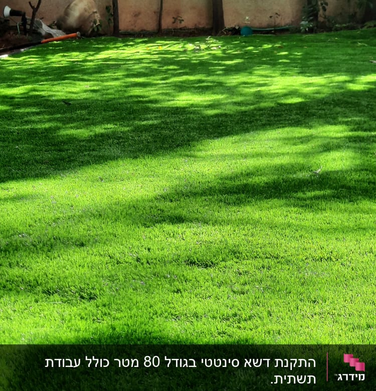 דשא ירוק עם צללים ועצים ברקע